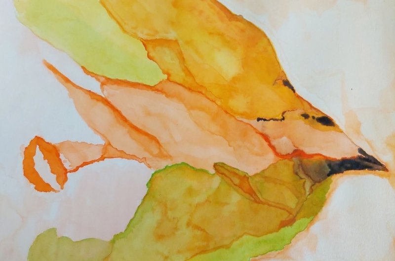 Aquarelle Karine Niemand
